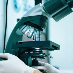 Collection image for: Slit Lamp Bulbs Australia – Precision Ophthalmic & Diagnostic Lighting